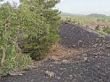 IMG_20190618_112129