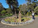 IMG_20190818_132905