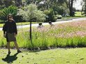 IMG_20190818_133735