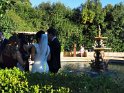 IMG_20190525_153634