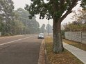 IMG_20191210_122448