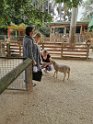 IMG_20191005_140713