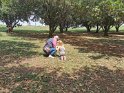 IMG_20191006_112835