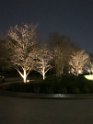 IMG_0286