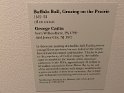 IMG_0416