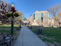 IMG_0455