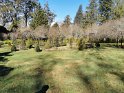 IMG_20200801_140443