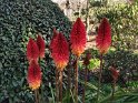 IMG_20200801_141448