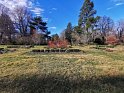 IMG_20200801_141927