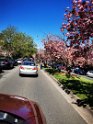 IMG_20201004_115111