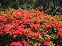 IMG_20201004_125235