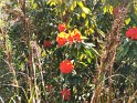 IMG_20201004_125303