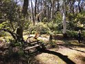 IMG_20201004_133542