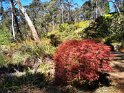 IMG_20201004_133718