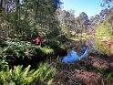 IMG_20201004_133738