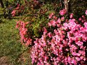 IMG_20201004_135012