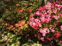 IMG_20201004_135028