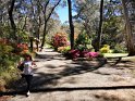 IMG_20201004_135415