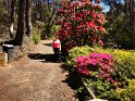 IMG_20201004_135507
