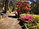 IMG_20201004_135507_1