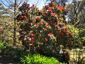 IMG_20201004_135618