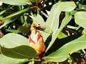 IMG_20201004_135913