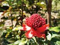 IMG_20201004_140446