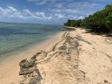 IMG_0568