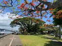 IMG_0589