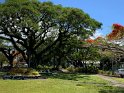 IMG_0592