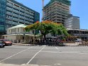 IMG_0596