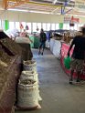 IMG_0604