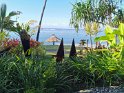 IMG_20200105_084221