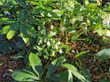 IMG_20200606_153952