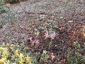 IMG_20200606_154526