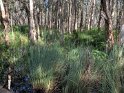 IMG_0959