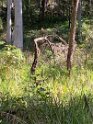 IMG_0963