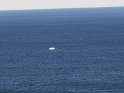 IMG_20200622_153619_1