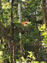 IMG_20200623_125424