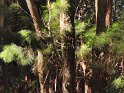 IMG_20200623_125440