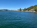 IMG_1006