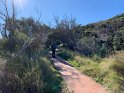 IMG_1009