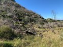 IMG_1010