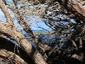 IMG_1014
