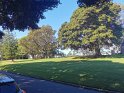 IMG_20200510_134006