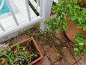 IMG_20200304_094233