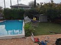 IMG_20200325_100745