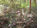 IMG_20200926_104513