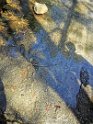 IMG_20200926_105836