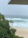 IMG_1307